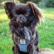 Load image into Gallery viewer, Harris Tweed Dog Harness